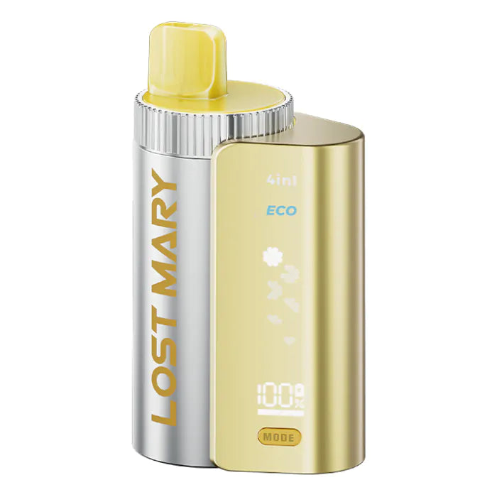 Lost Mary - 4in1 Pod Kit